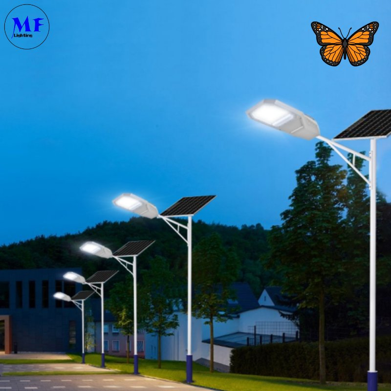Factory Price High Brightness Die-Casting Aluminum IP66 100W 200W Waterproof LED Solar Street Garden PV Light for Road Sidewalk Plaza Parking Lot High Way