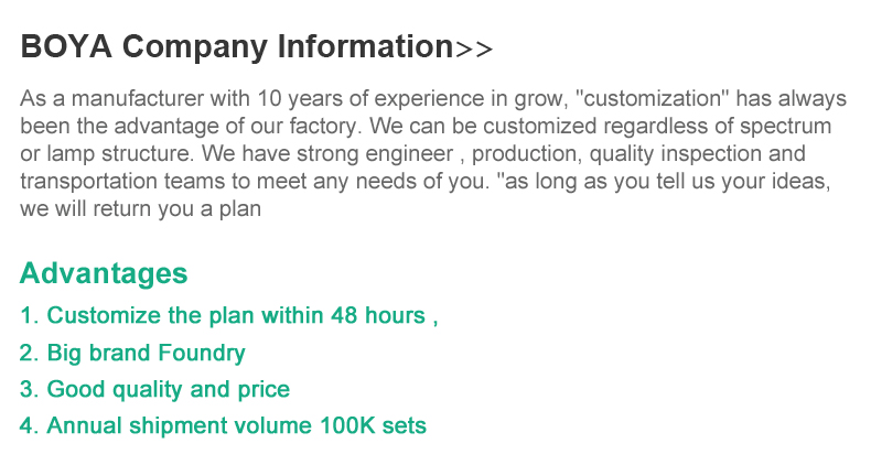 Application Details 1