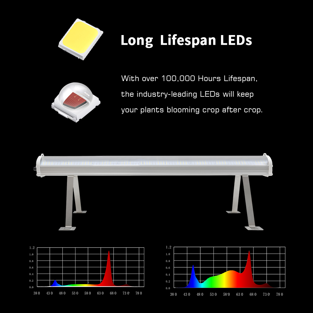 120W Full Spectrum Canopy Led Grow Light LM301H Evo for 4 Inch IP65 Smart Cob Led Chip Lighting for Indoor Plant Growth