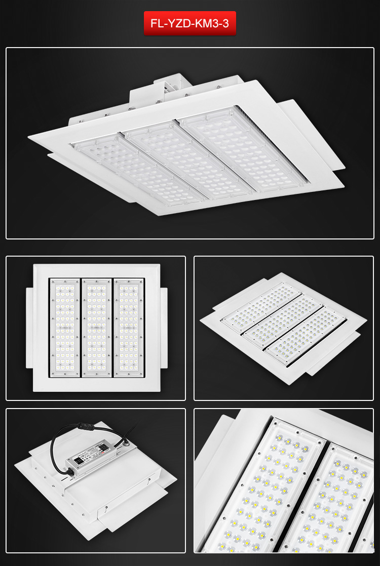 LED Canopy Light 14