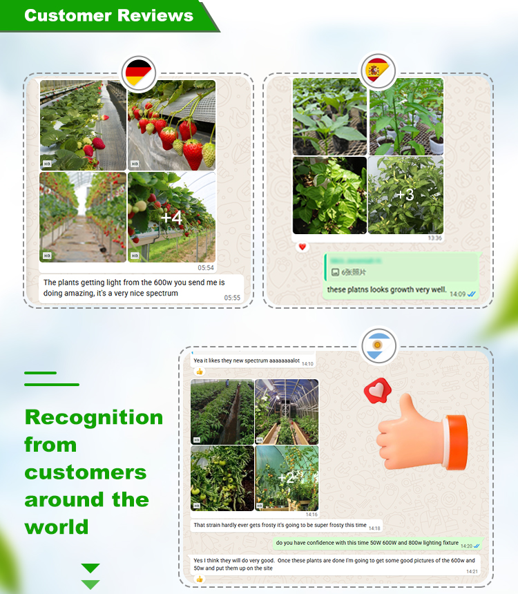 Product Details 2