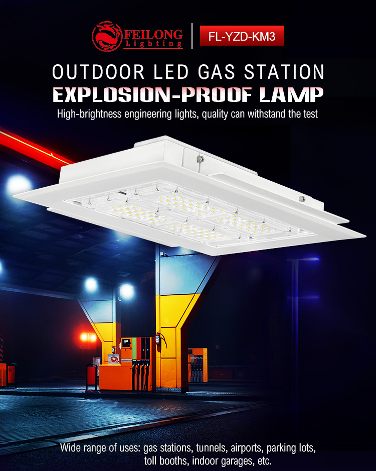 LED Canopy Light 1