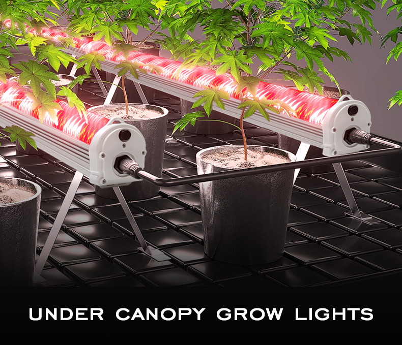 LED Grow Light Feature 1