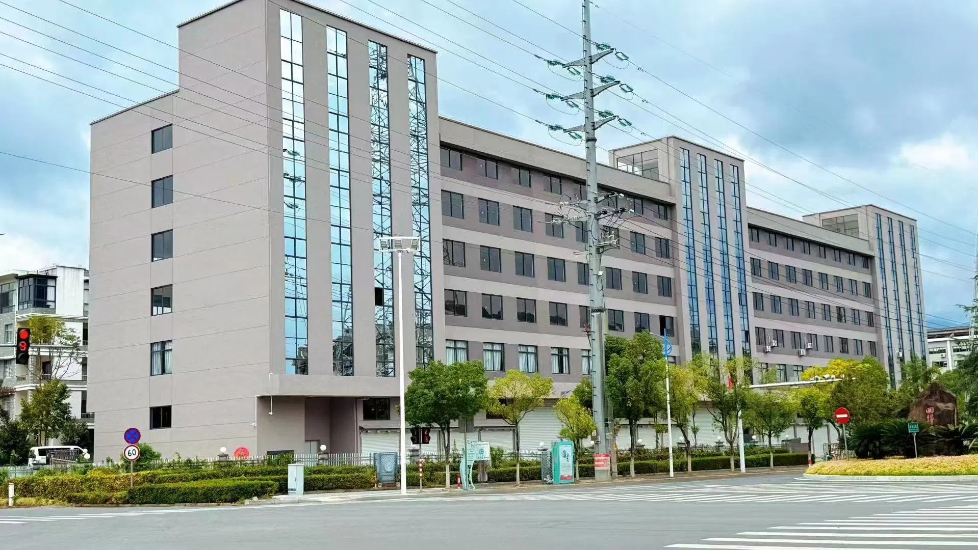 Professional Service