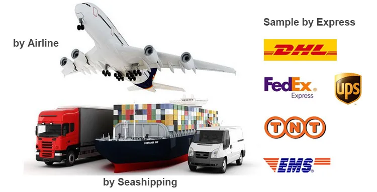 Shipping Logistics