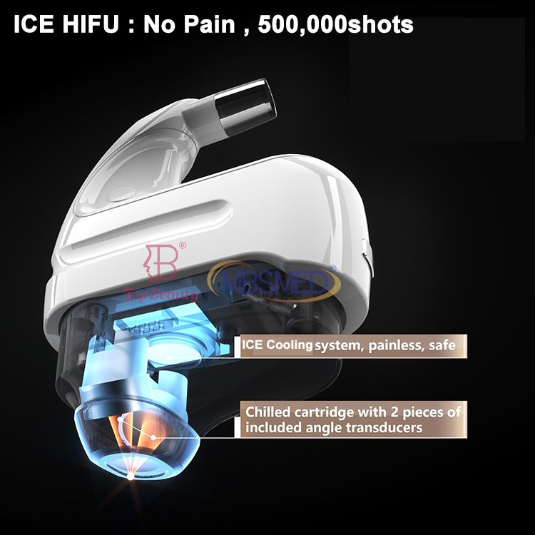 Hifu 12D Face Lifting Wrinkle Removal 500, 000shots Cartridges Hifu Device