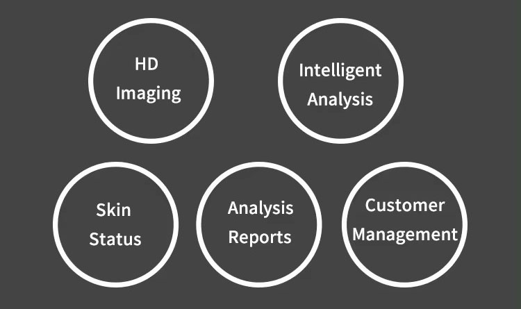 Analysis Process