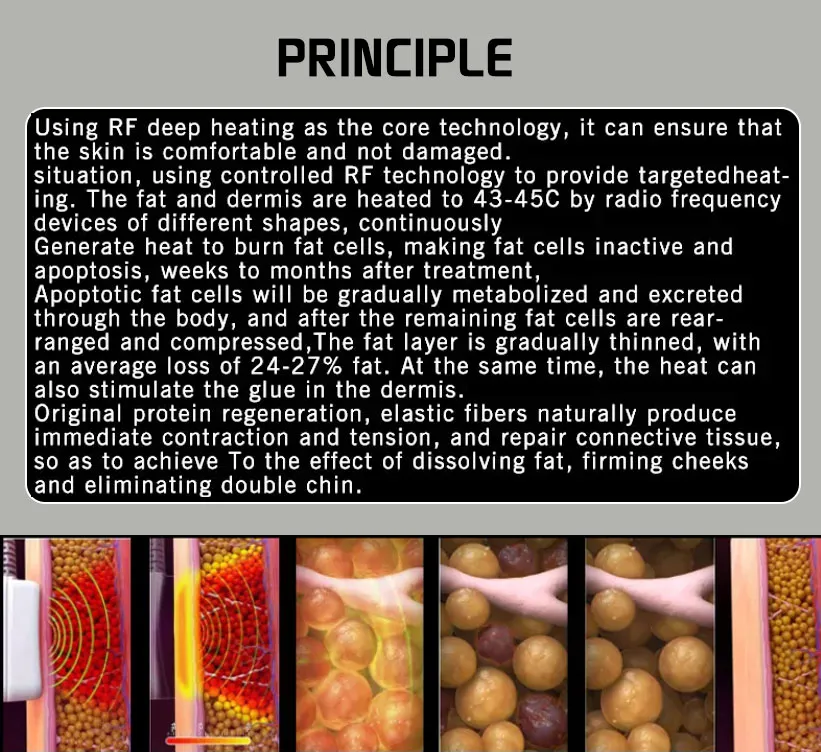 Fat Reduction Process