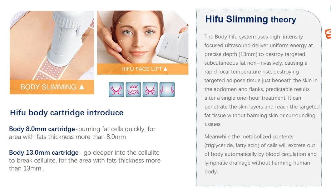 Professional Hifu 22D Max Device for Anti-Aging, Wrinkle Removal, and Face Lifting Treatment
