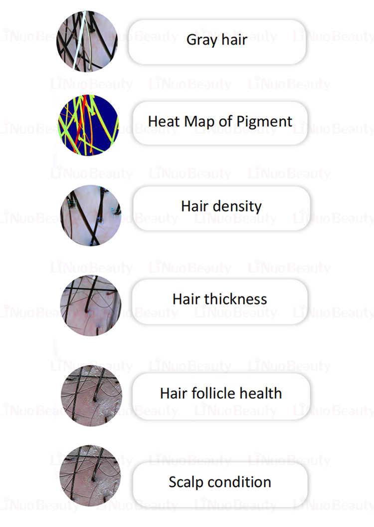 Product Description Image 4
