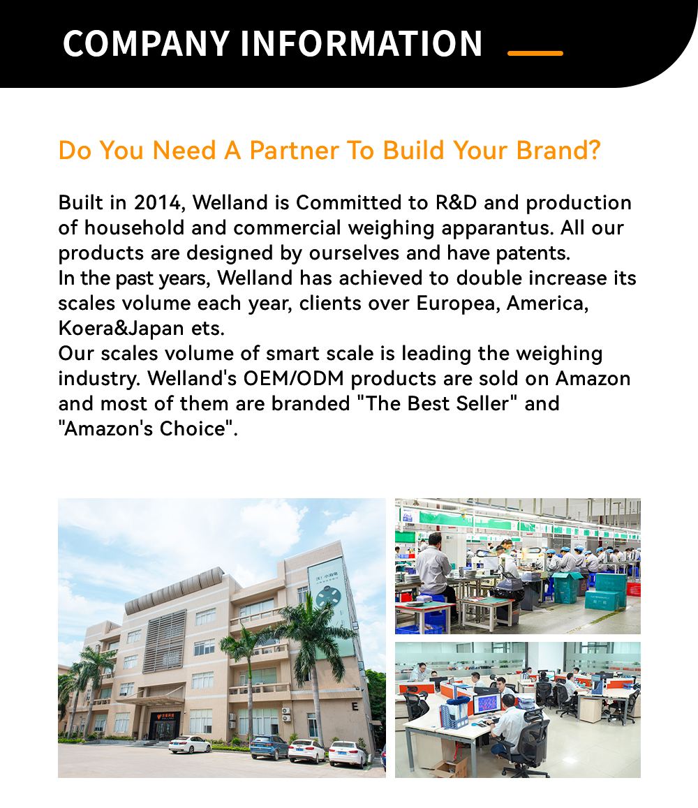 Company overview