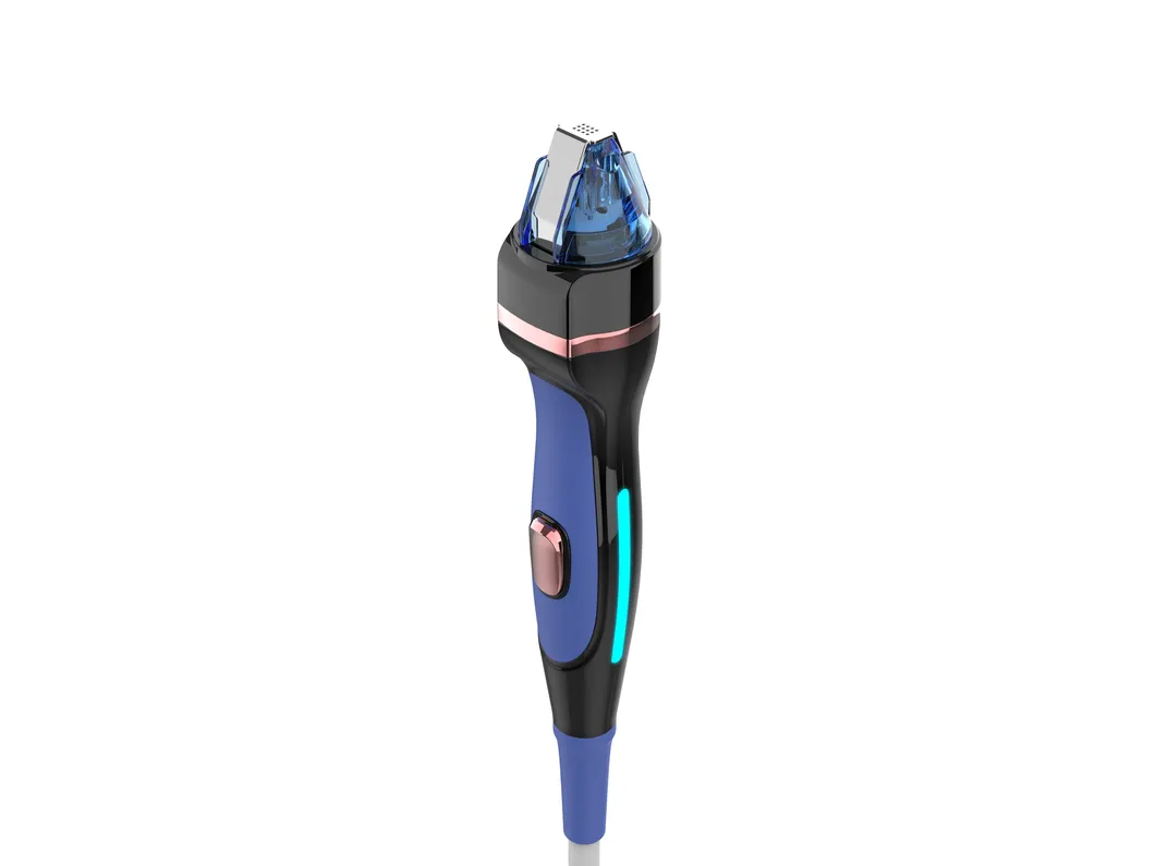 Ice Gold 2 Handles Wrinkle Removal Skin Tightening Anti-Aging RF Microneedling Machine