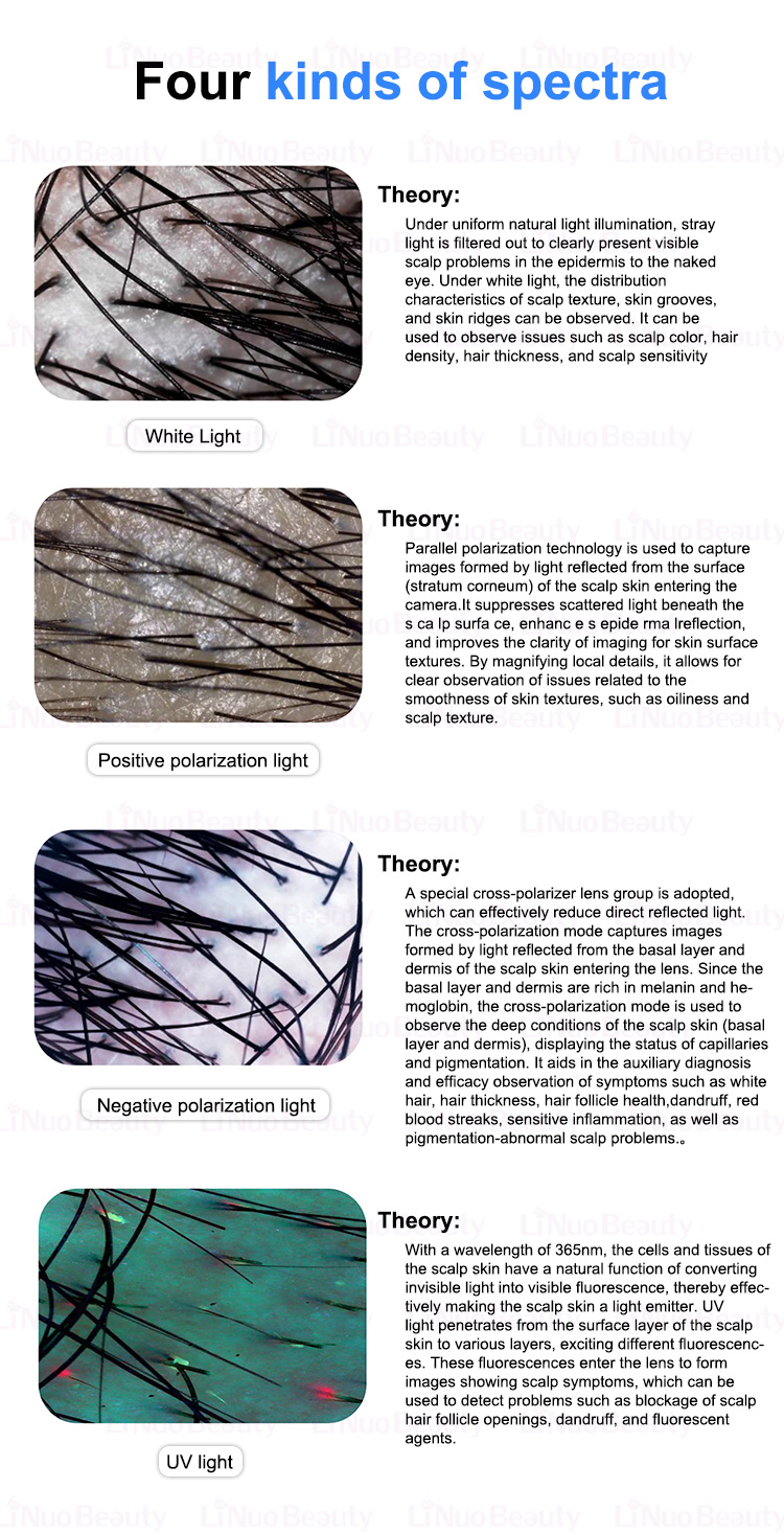 Product Description Image 5