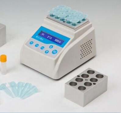 Lab Digital Constant Temperature Biological Indicator Incubator (B80)