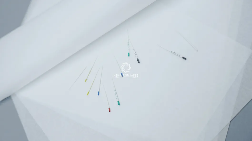 Absorbent Paper Points Detail