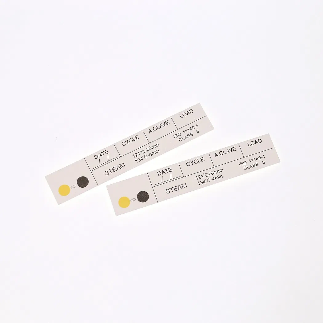 Class 6 Steam Indicator Strip 4