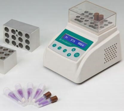 Lab Digital Constant Temperature Biological Indicator Incubator (B80)