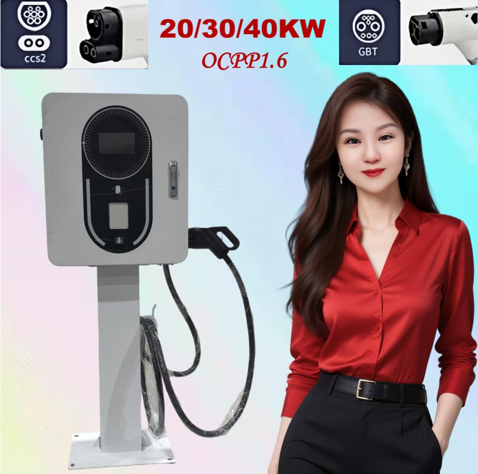 Evs 20kw 30kw 40kw Commercial Ocpp CCS2 Gbt Fast DC Electric Car Vehicle Battery EV Charger Charging Station Infrastructure with CE Certificate
