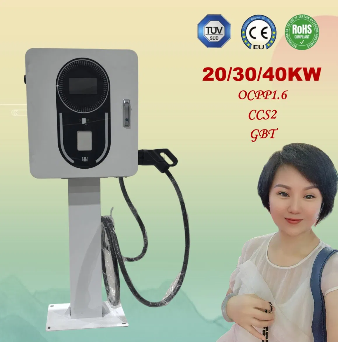 EV Infrastructure 20kw 30kw 40kw Floor Wall Mounted 3 Phase 400V Fast DC Electric Vehicle Car Battery EV Charger Charging Piles