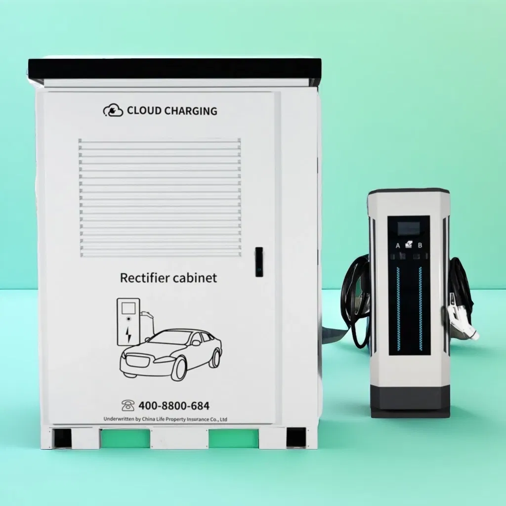 Customized EV Charger