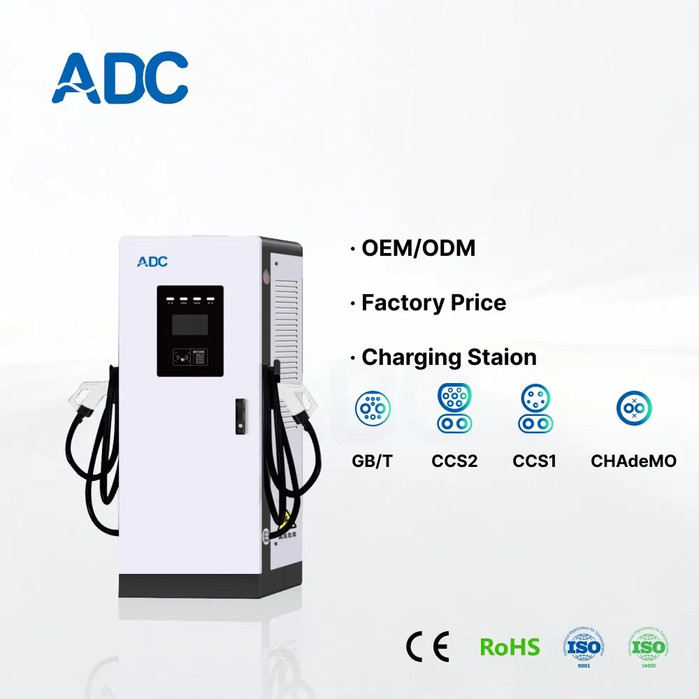 Factory Price Customized EV DC Charging Station 2 Charging Guns New Electric Vehicle Infrastructure Fast DC