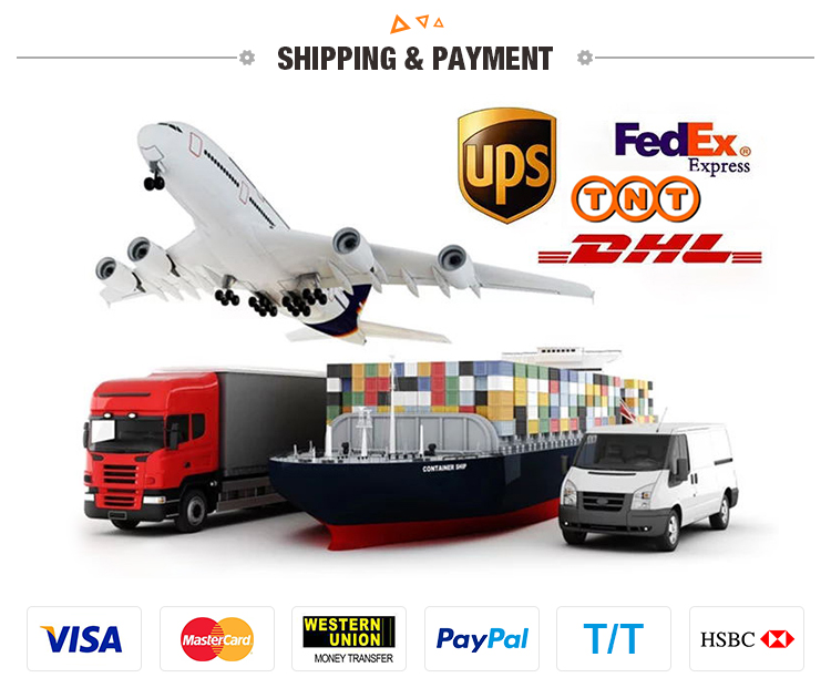 Shipping Methods and Payment Terms