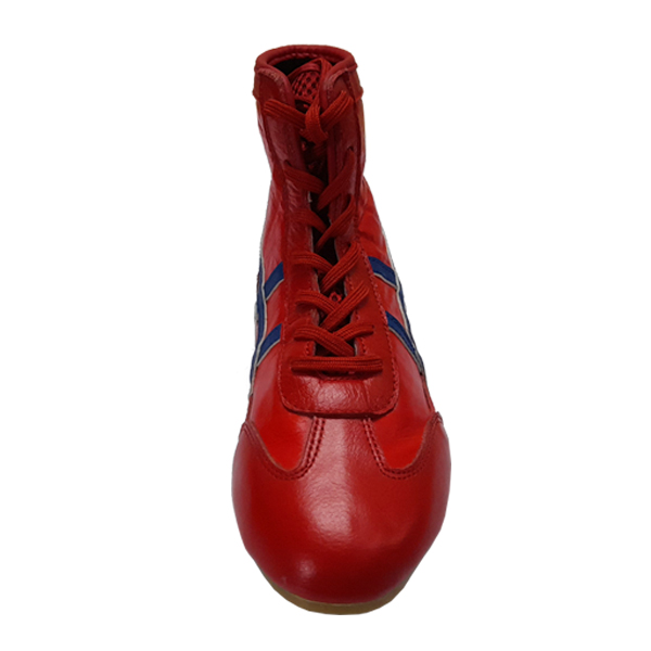 Boxing Shoes Detail 2