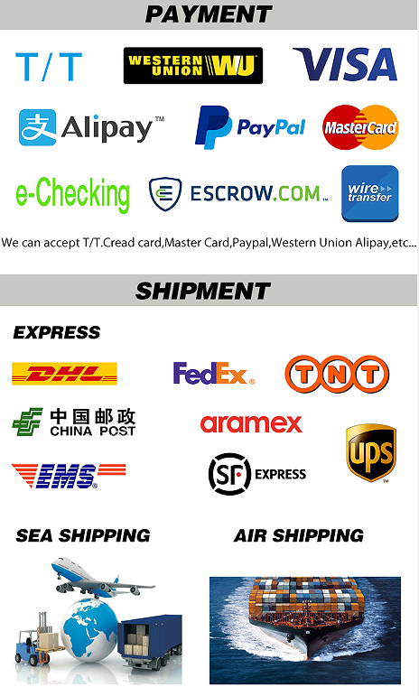 Payment and Shipment Channels