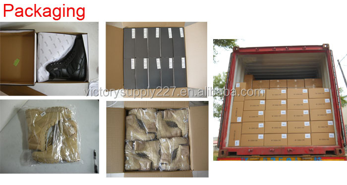 Packaging and Shipping Processes