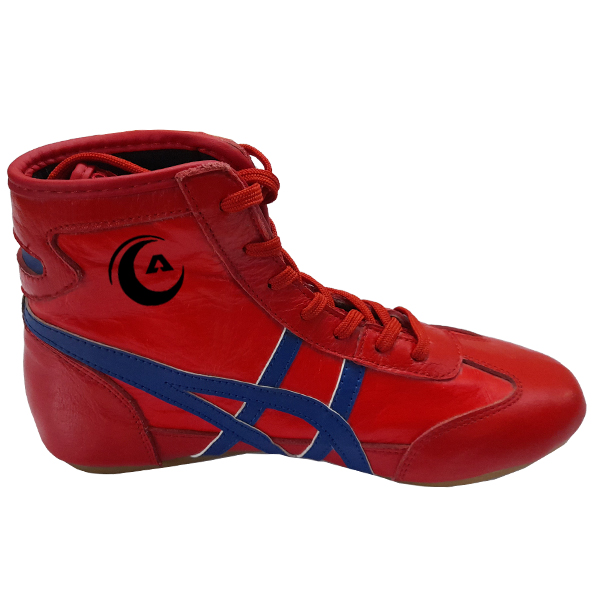 Boxing Shoes Detail 1
