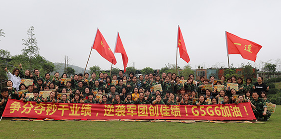 Our Team