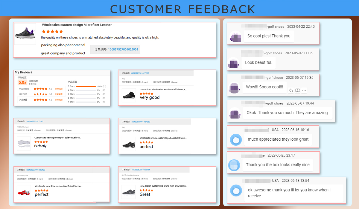Reviews and Testimonials
