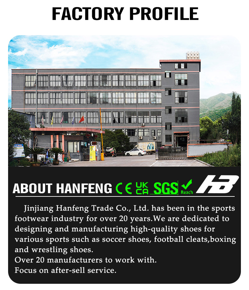 Company Overview