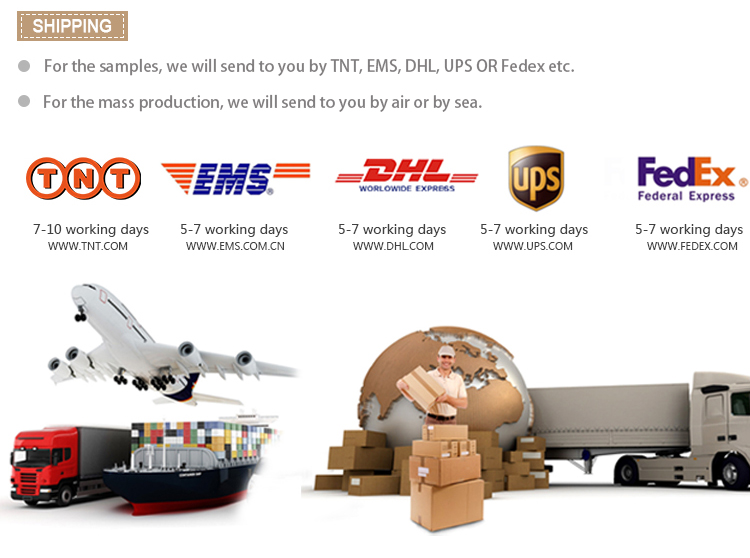 Shipping Logistics Setup
