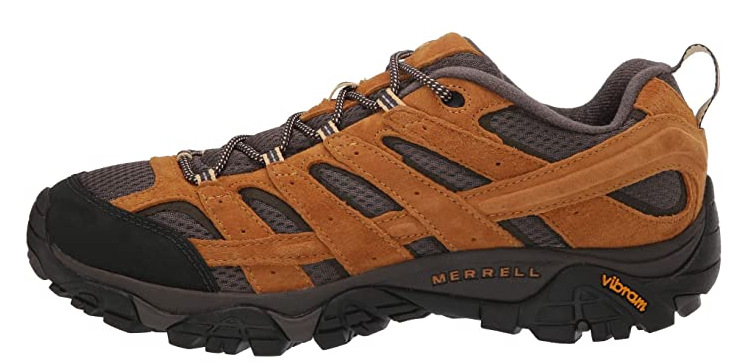 Mountaineering shoe features