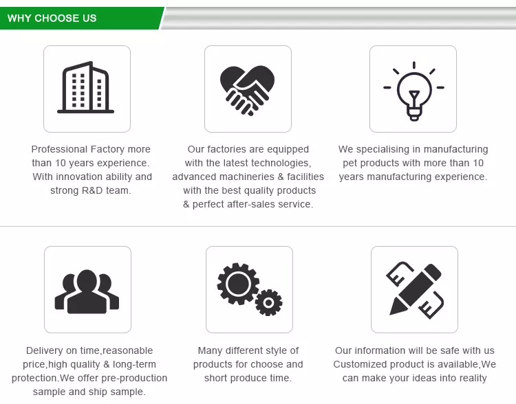 Why Choose Us Graphic
