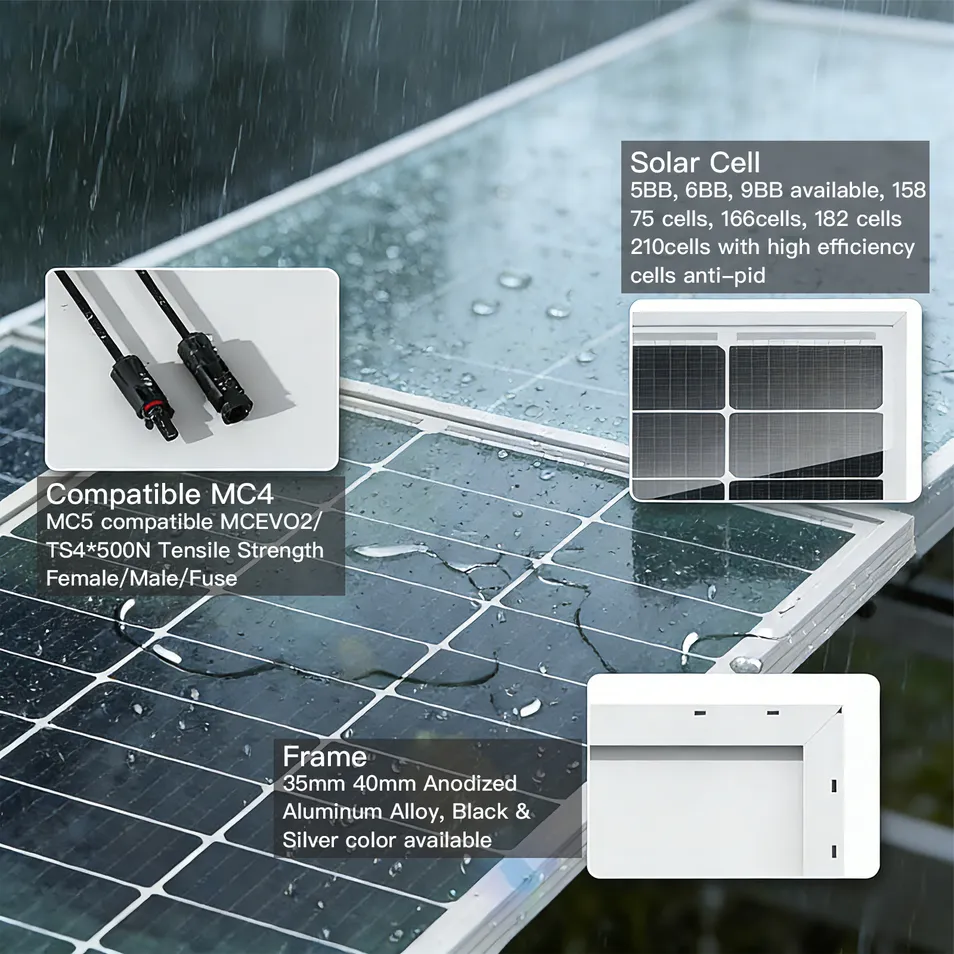 Módulo Solar Bifacial Vista 2