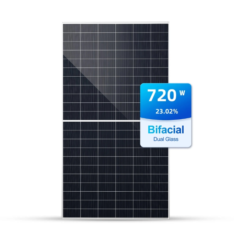 Módulo Solar Painel Solar 695W 700W 705W 710W 715W Painel Solar PV de Vidro Duplo Policristalino