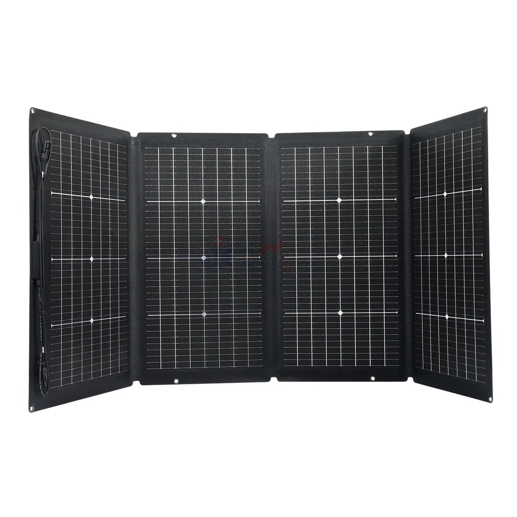 Painel Solar Bifacial Portátil Personalizado 220W 1