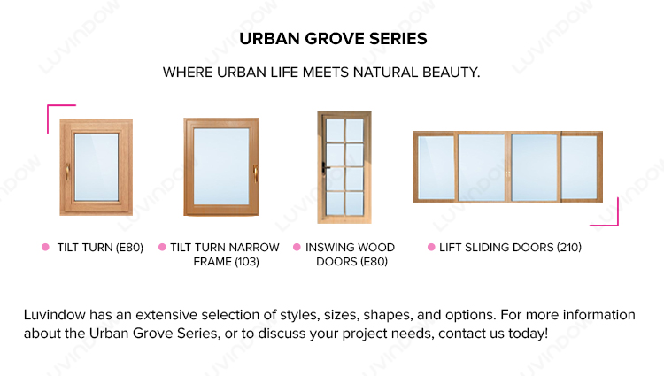 Modern commercial building minimalist window styling