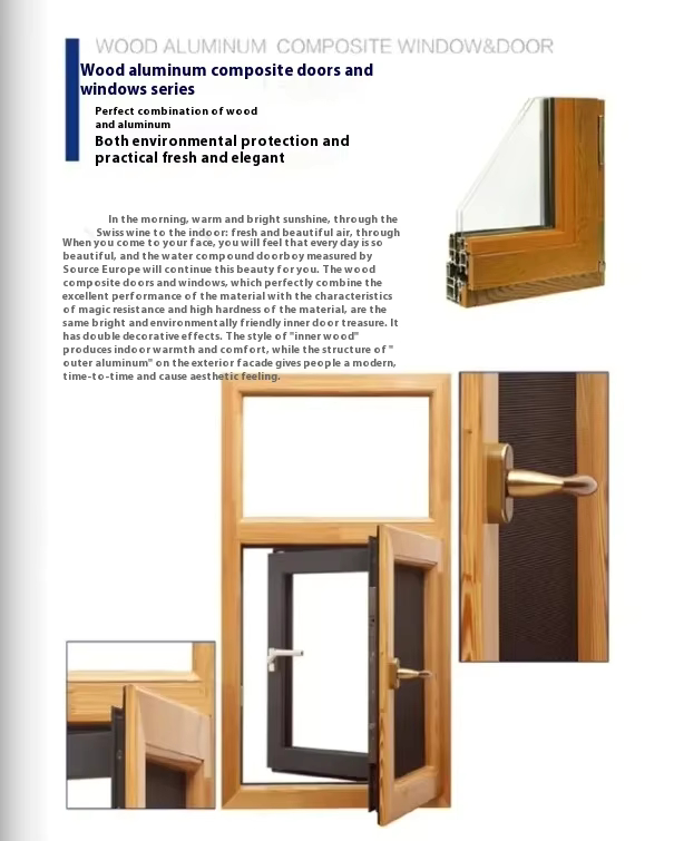 Window design showcase 6
