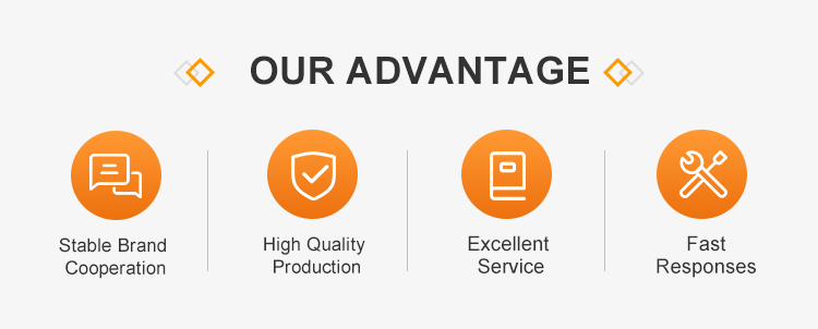 Our Advantages