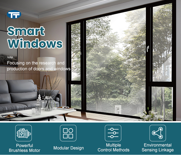 Intelligent System Window Banner