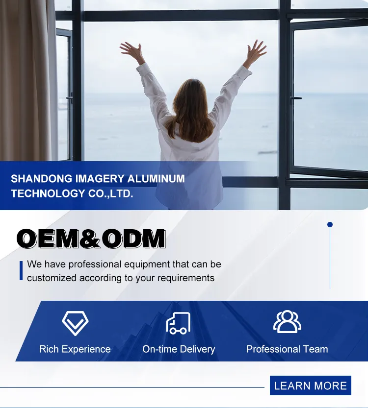 Hurricane-Resistant Aluminum Alloy Double Glass Tilt-and-Turn Windows
