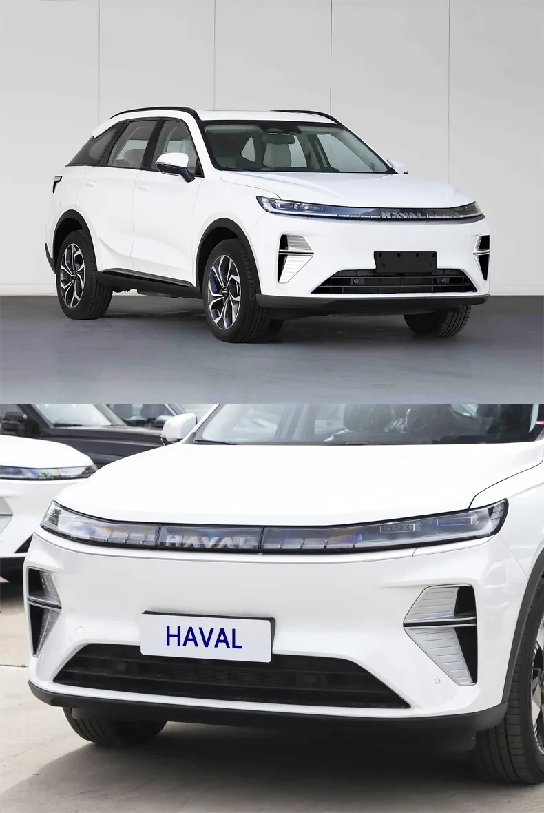 Haval Xiaolong Max View 1