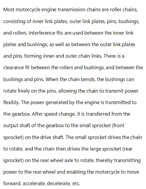 Roller Chain Detail 2