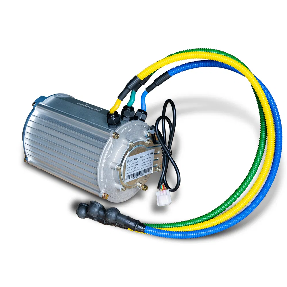 48V 60V 72V 5kw Pmsm DC Motor EV, Golf Cart, Rickshaw, Electric Truck, Tricycle Cargo Manufacture and Conversion Kit (CCC CE)