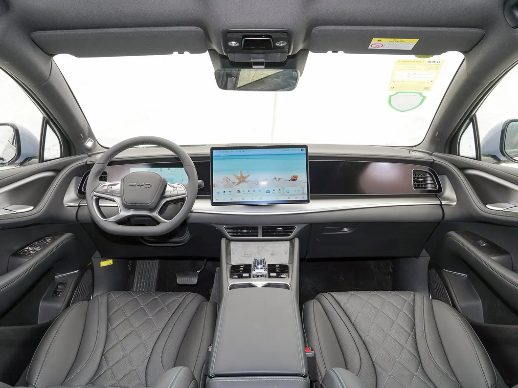 BYD Sea Lion Front View