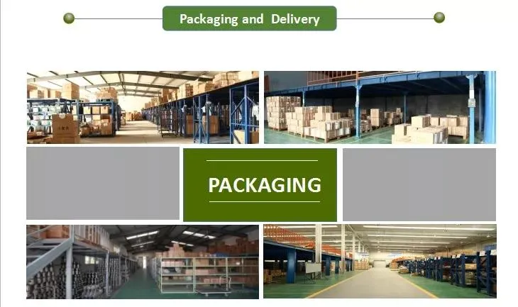 Packaging & Shipping