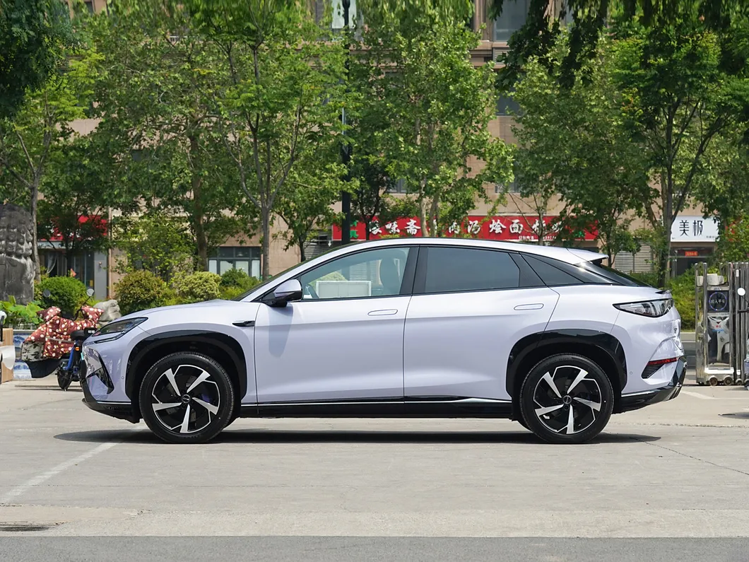 Byd Sea Lion Details